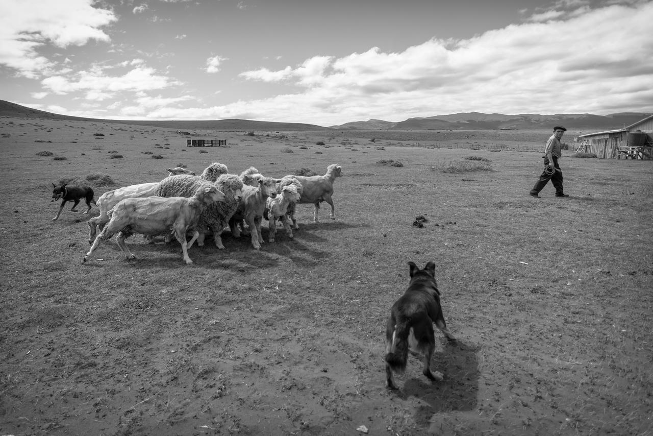 Estancia Dos Elianas Torres del Paine Nemzeti Park Kültér fotó