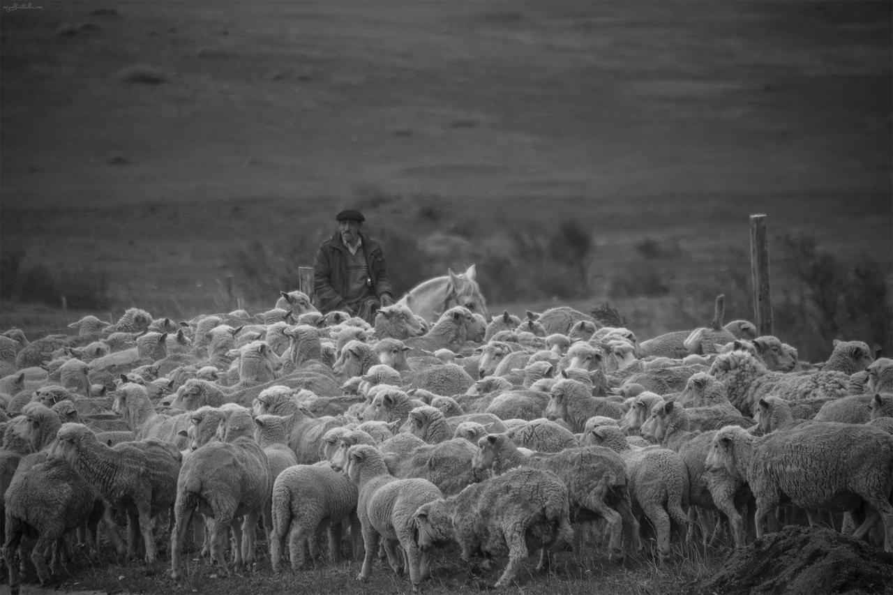 Estancia Dos Elianas Torres del Paine Nemzeti Park Kültér fotó